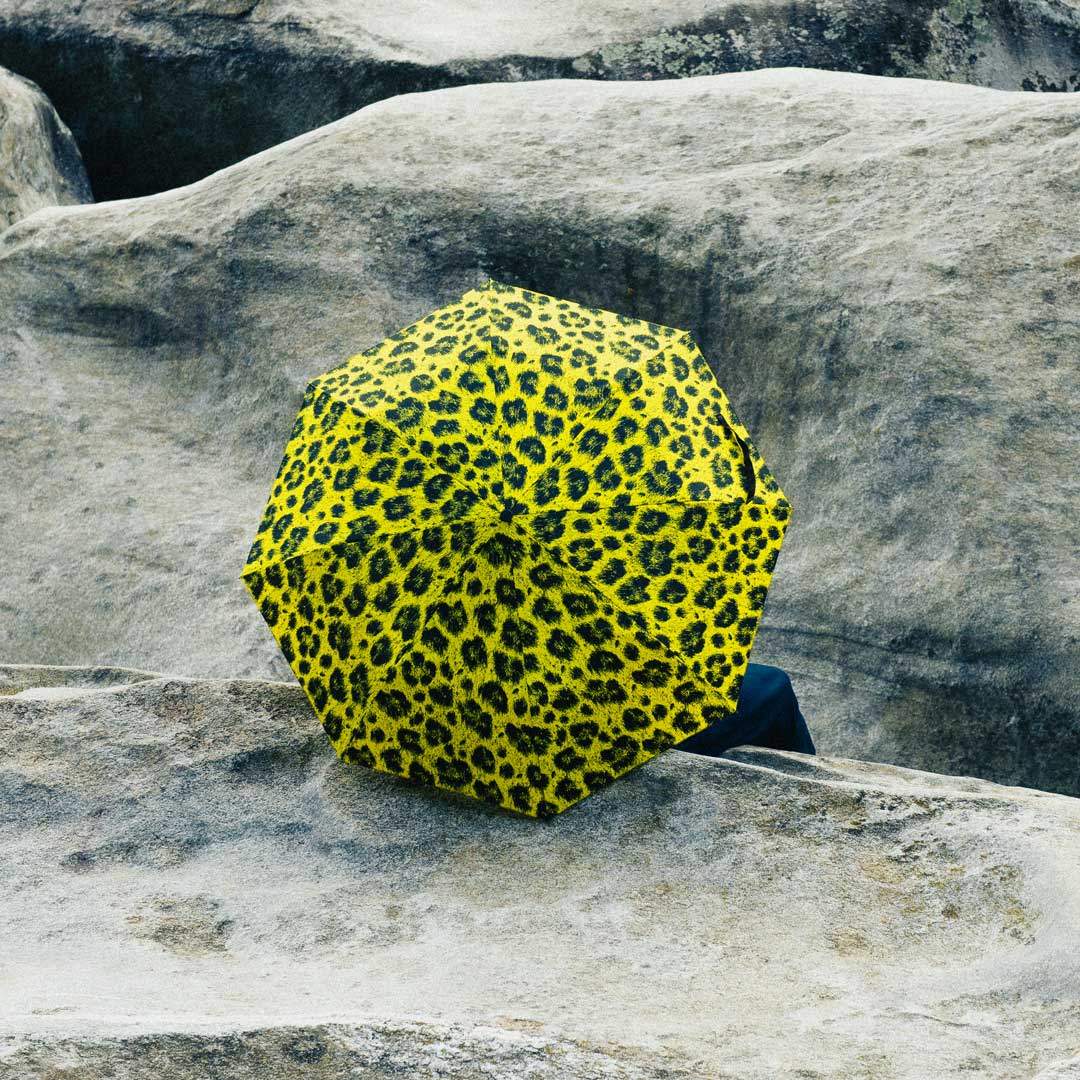 Leopard-Print Umbrellas