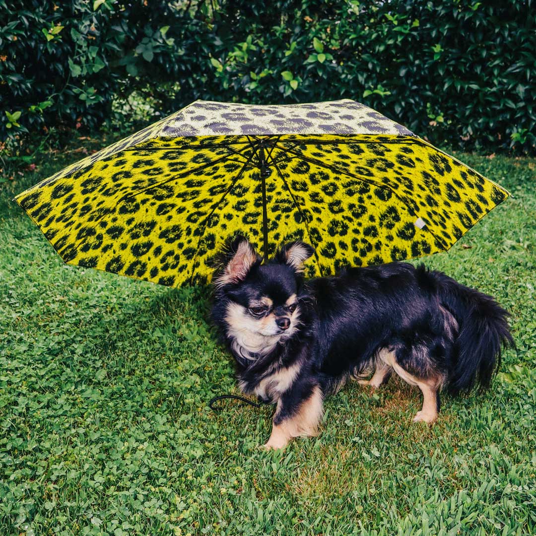 Leopard-Print Umbrellas