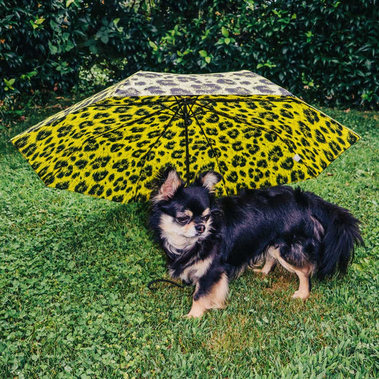 Leopard-Print Umbrellas