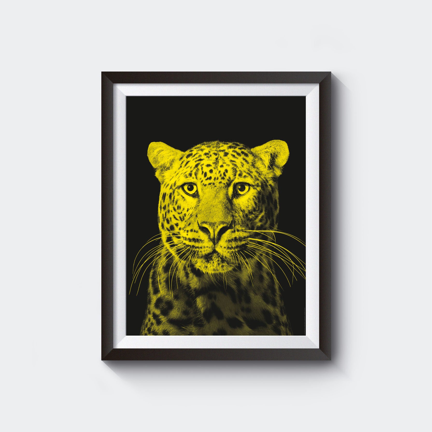 Pardo Poster