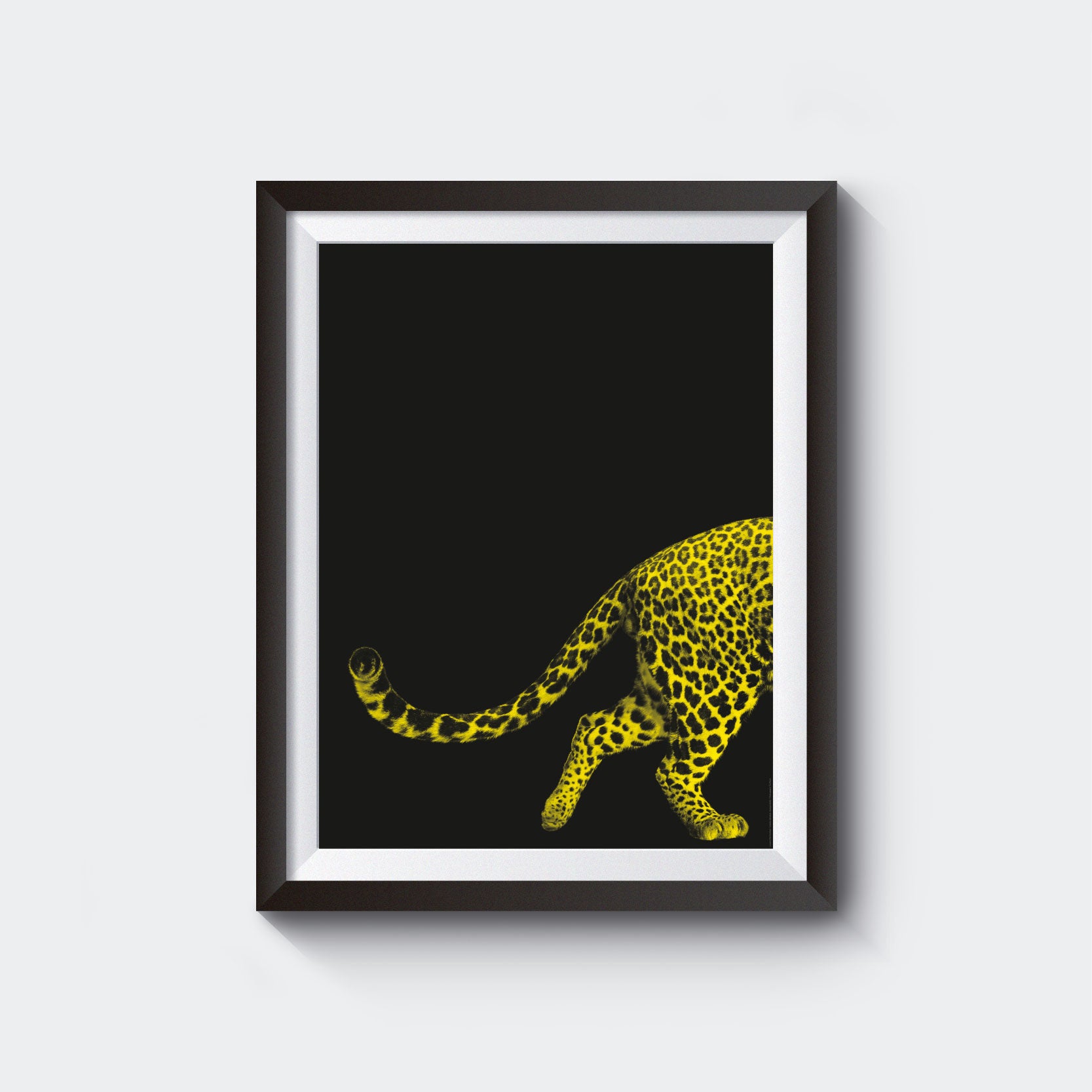 Pardo Poster