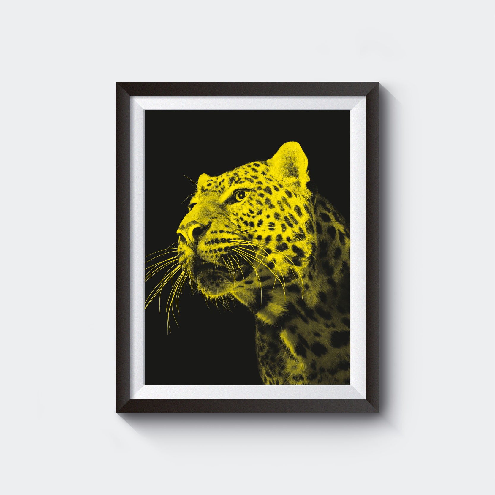 Pardo Poster