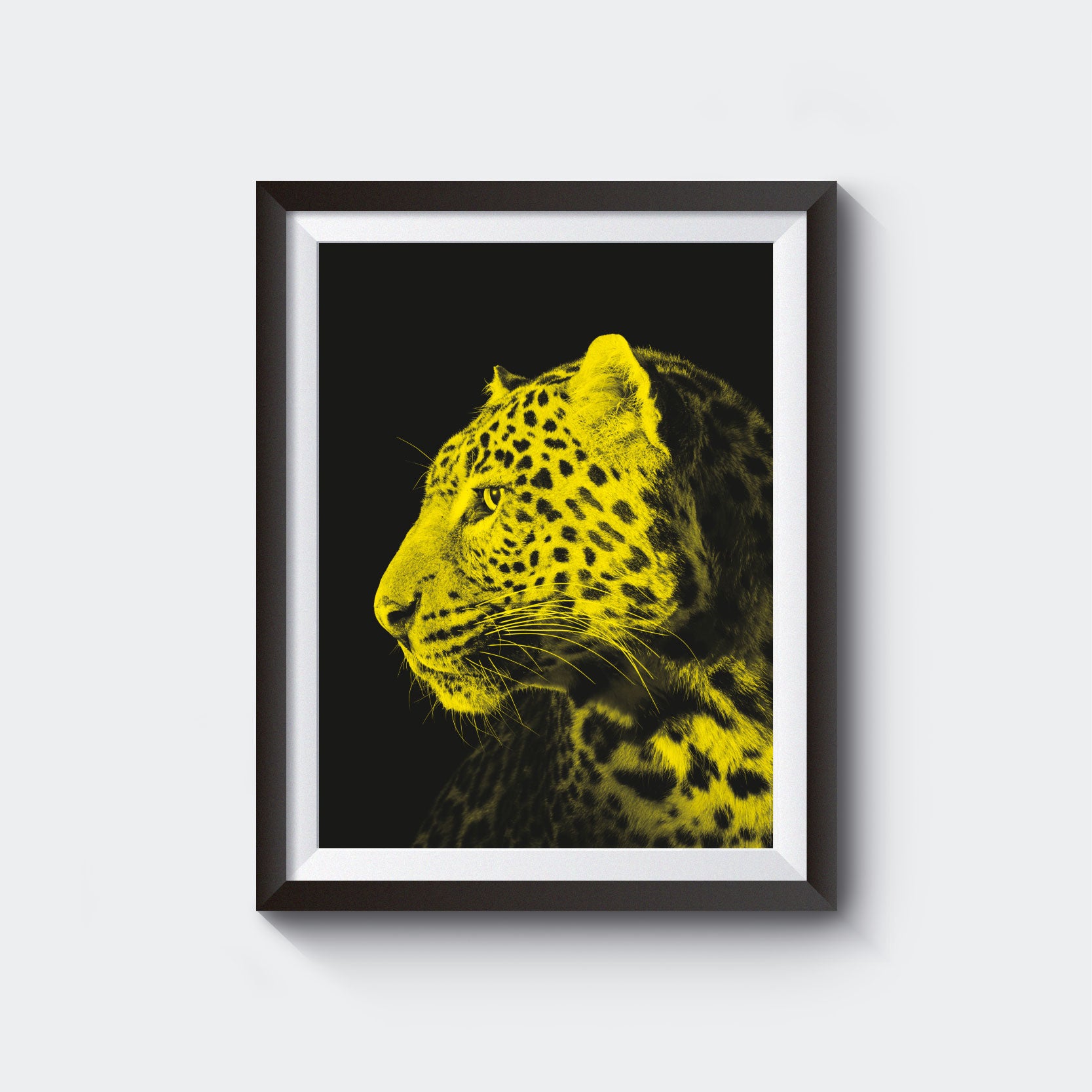 Pardo Poster