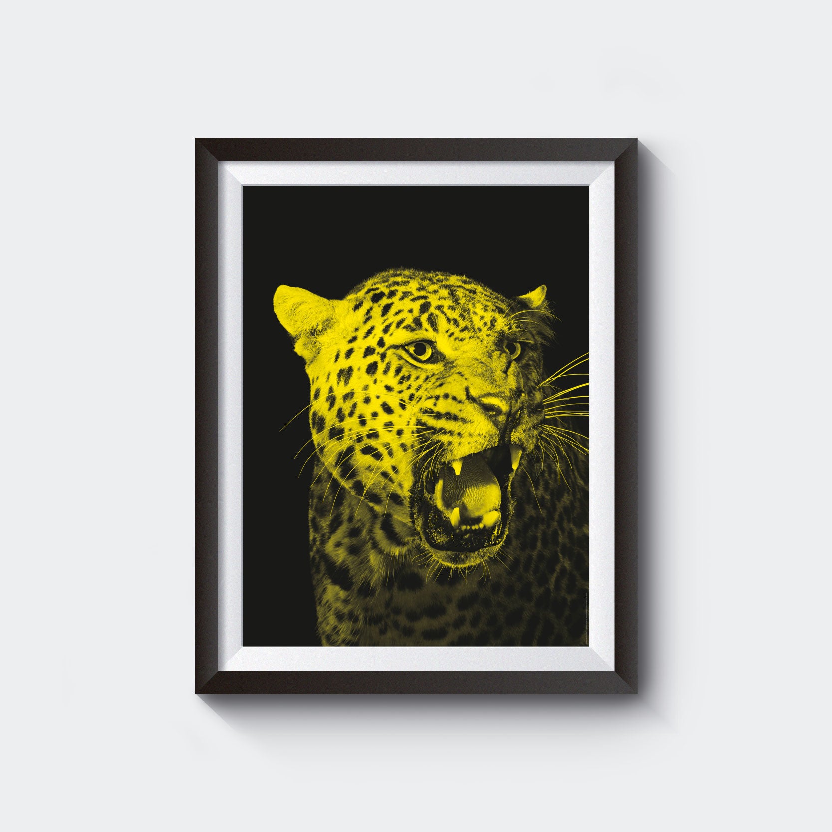 Pardo Poster