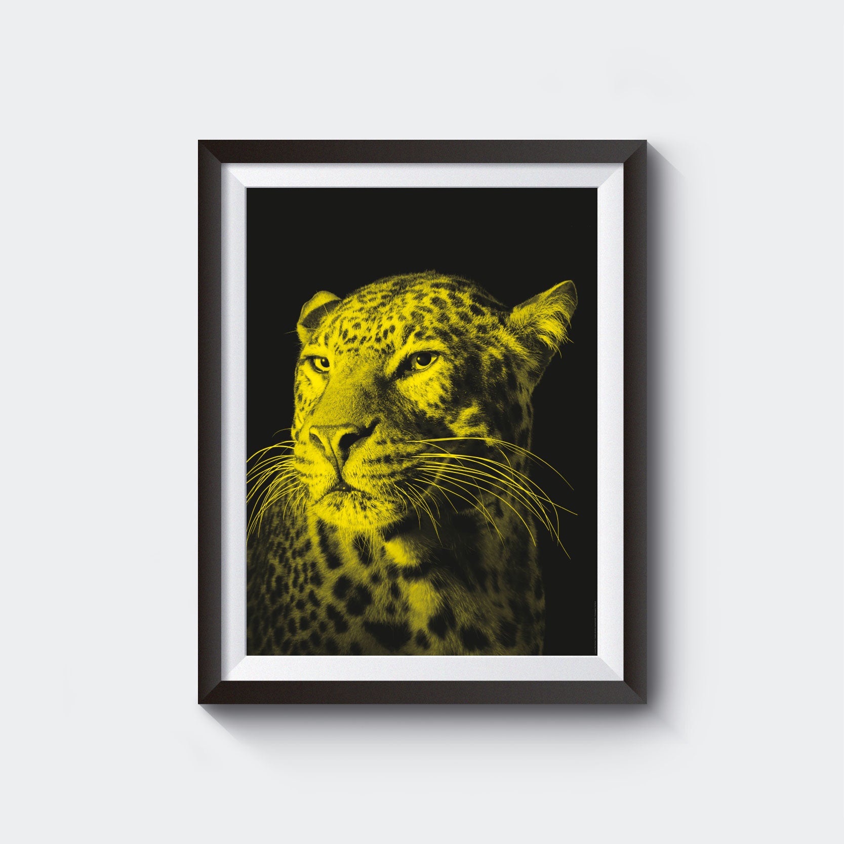 Pardo Poster