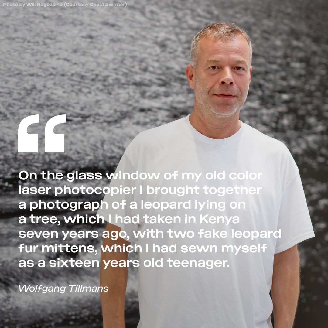 2025 Official Poster - 78th Locarno Film Festival - by Wolfgang Tillmans