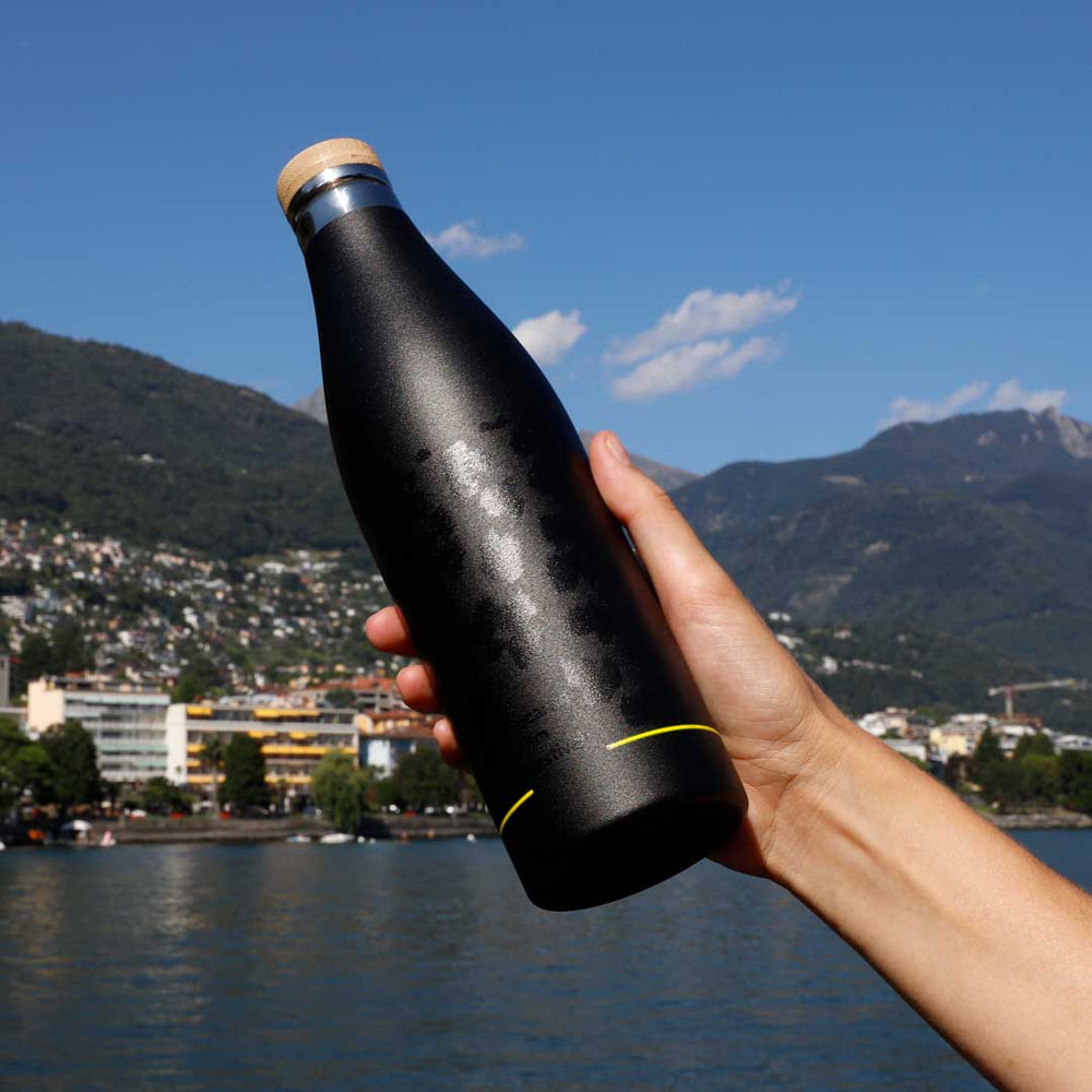 Water Bottle Meridian SIGG x Locarno Film Festival - 0.5L