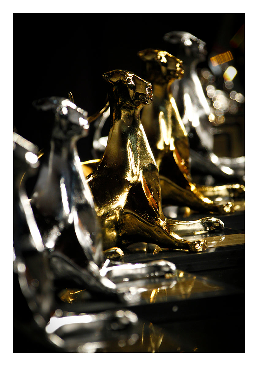 #45 Awards (2007)